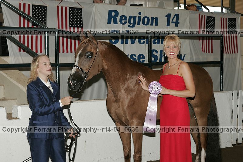 Proof Number r14-04_0636